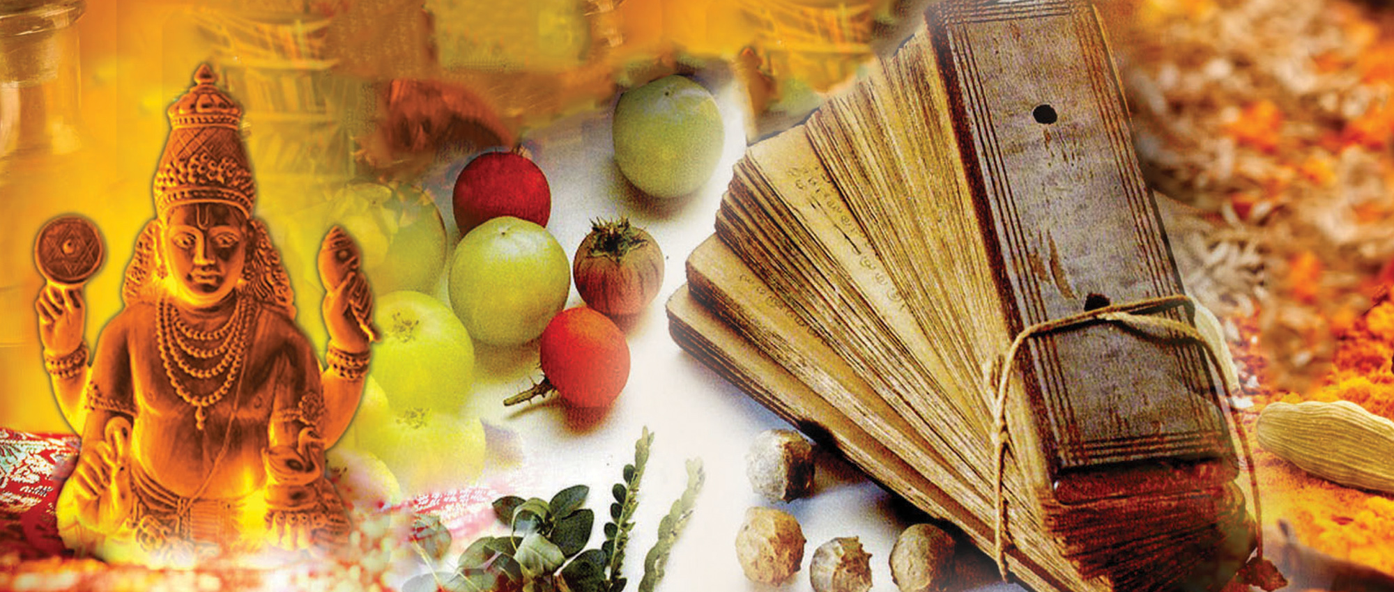 ayurveda_banner ayurveda_banner